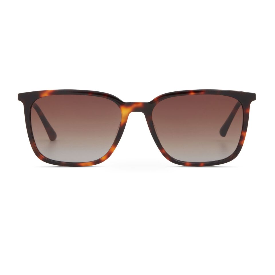 Cerruti 1881 CR 80098 C2 Erkek Güneş Gözlüğü