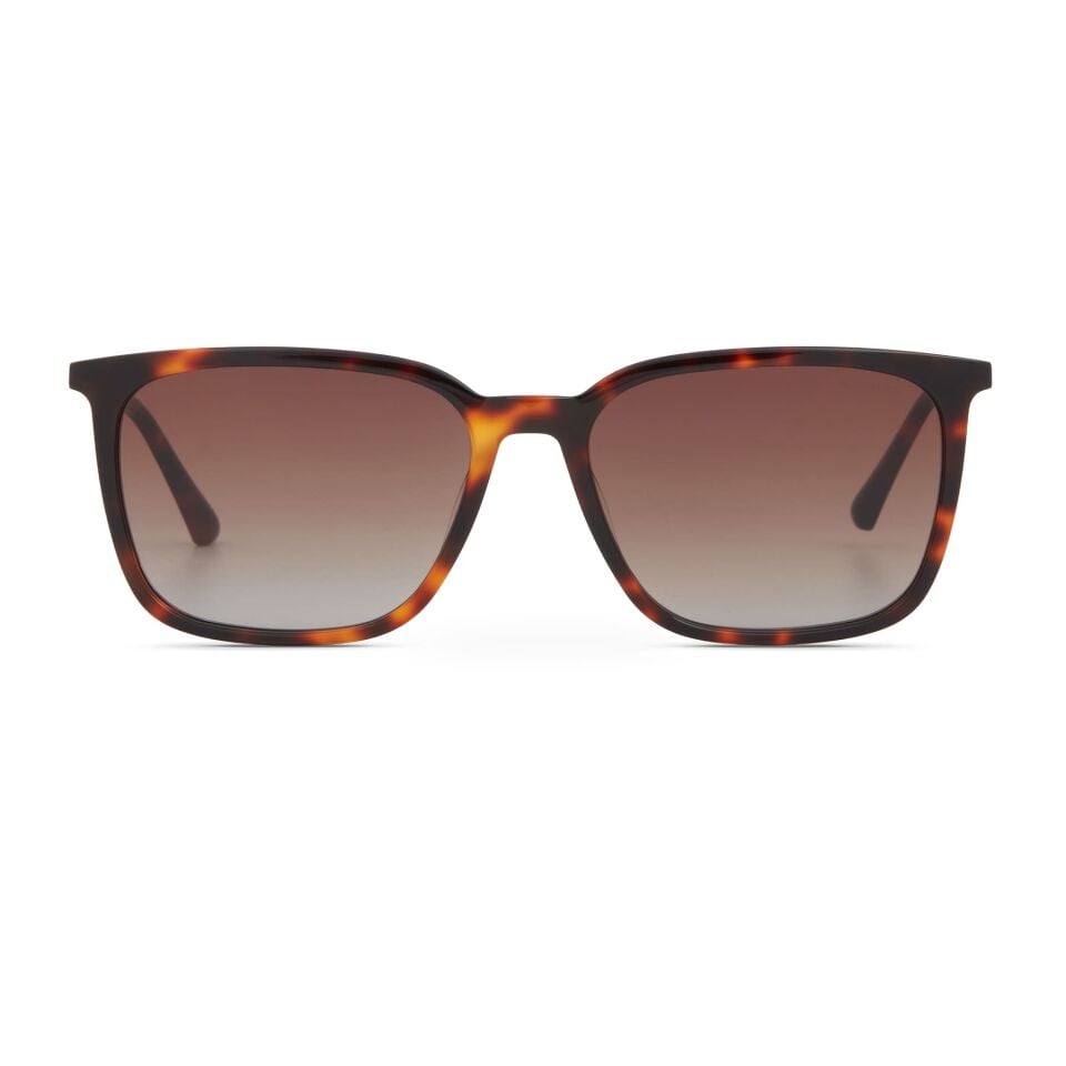 Cerruti 1881 CR 80098 C2 Erkek Güneş Gözlüğü