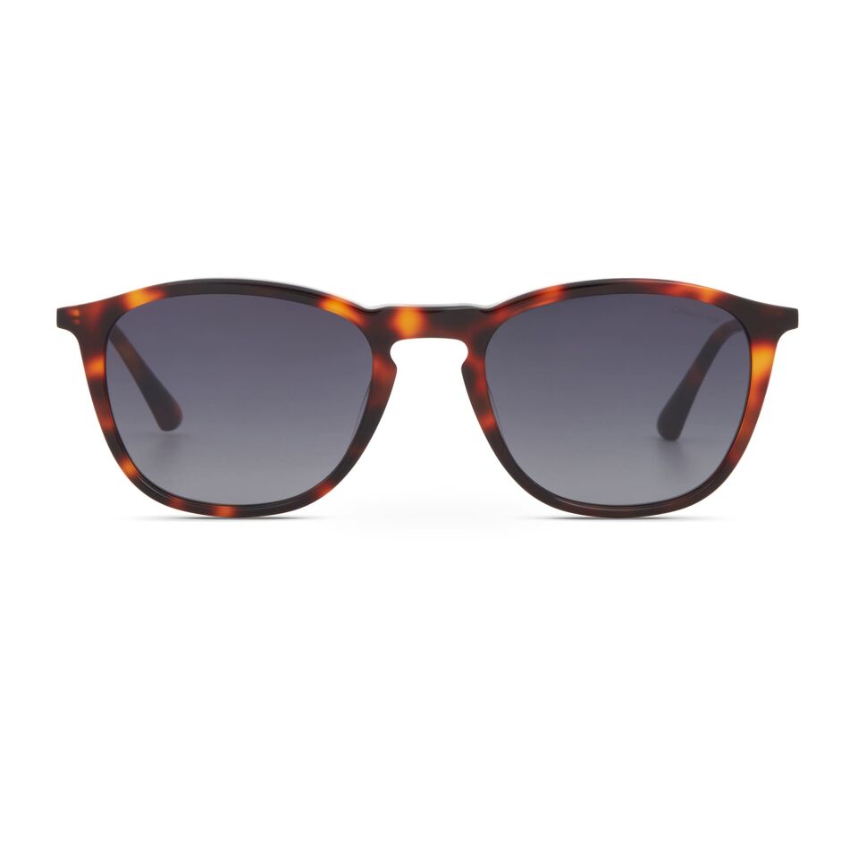 Cerruti 1881 CR 80100 C2 Erkek Güneş Gözlüğü