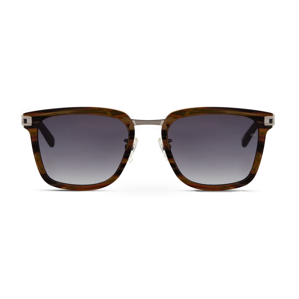 Cerruti 1881 CR 80002 C3 Erkek Güneş Gözlüğü