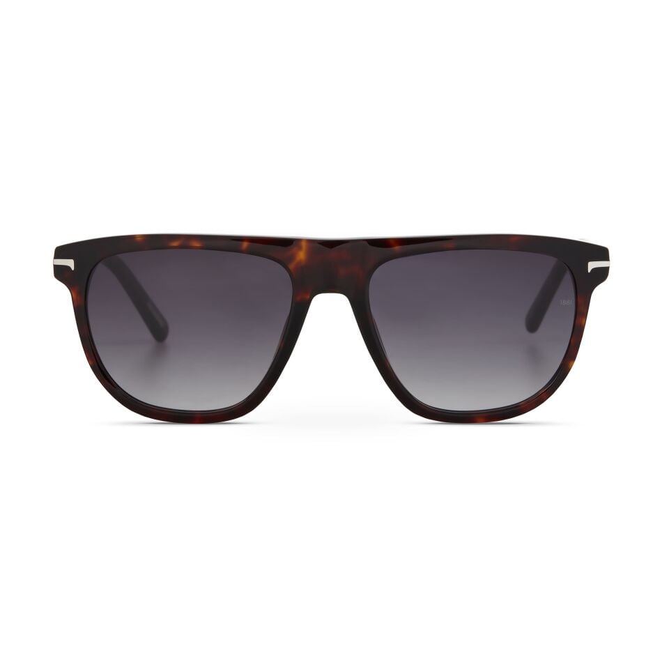 Cerruti 1881 CR 80015 C2 Erkek Güneş Gözlüğü