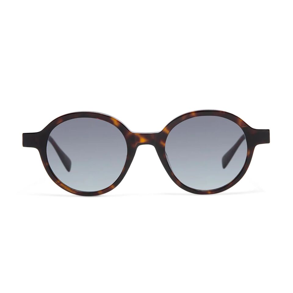 Gigi Studios Amalfi 6916 2 Erkek Güneş Gözlüğü