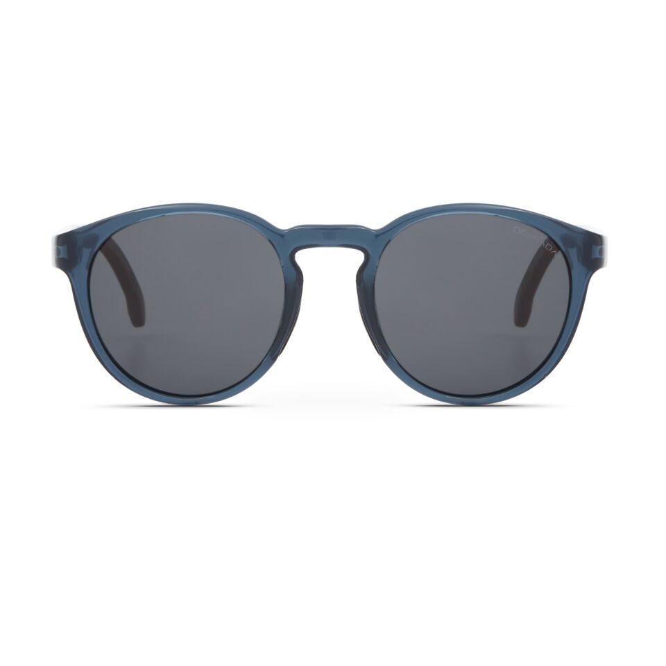 Despada DS 2437 C3 Erkek Güneş Gözlüğü