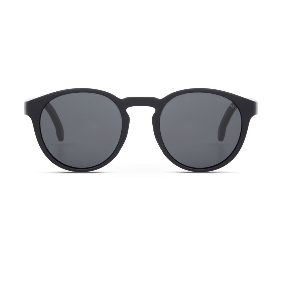 Despada DS 2437 C2 Erkek Güneş Gözlüğü