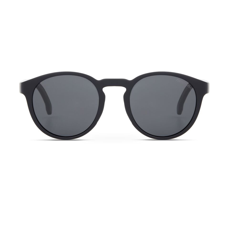 Despada DS 2437 C2 Erkek Güneş Gözlüğü