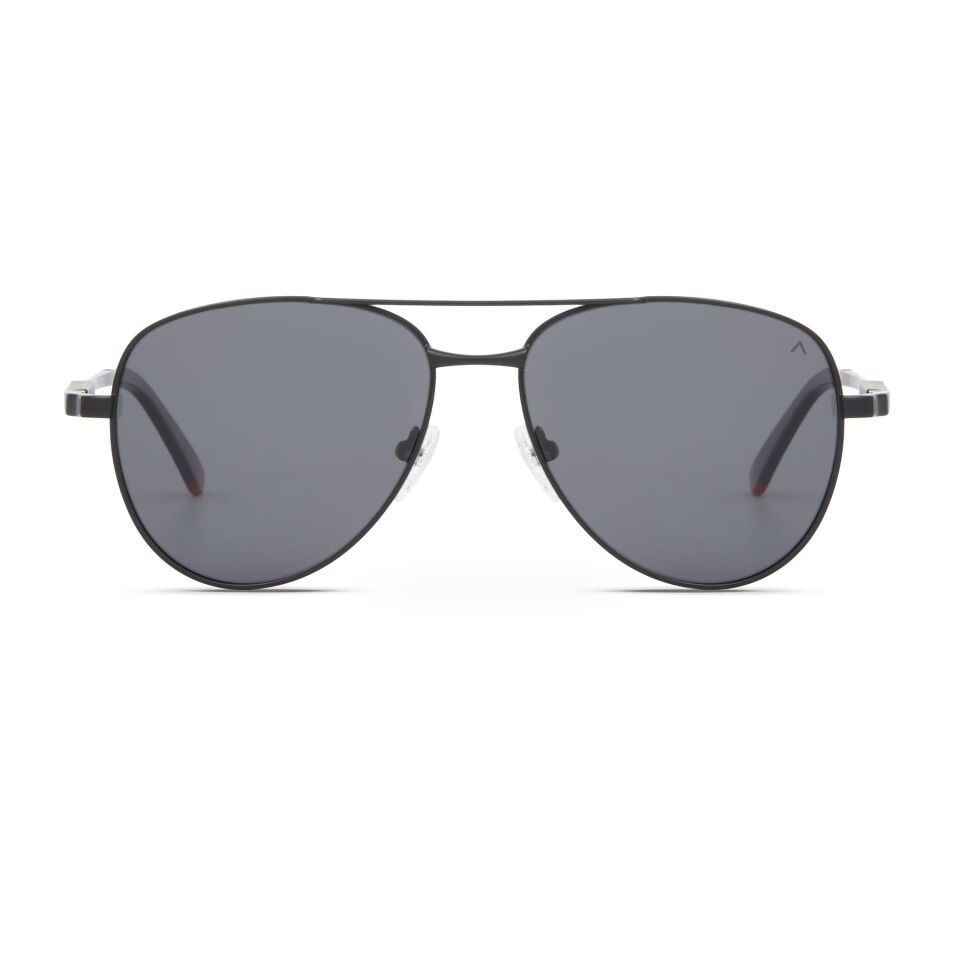 Despada DS 2429 C1 Erkek Güneş Gözlüğü