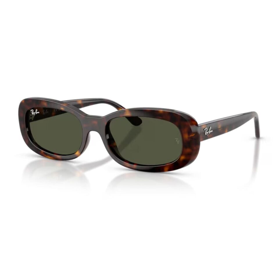 Ray-Ban RB 2221