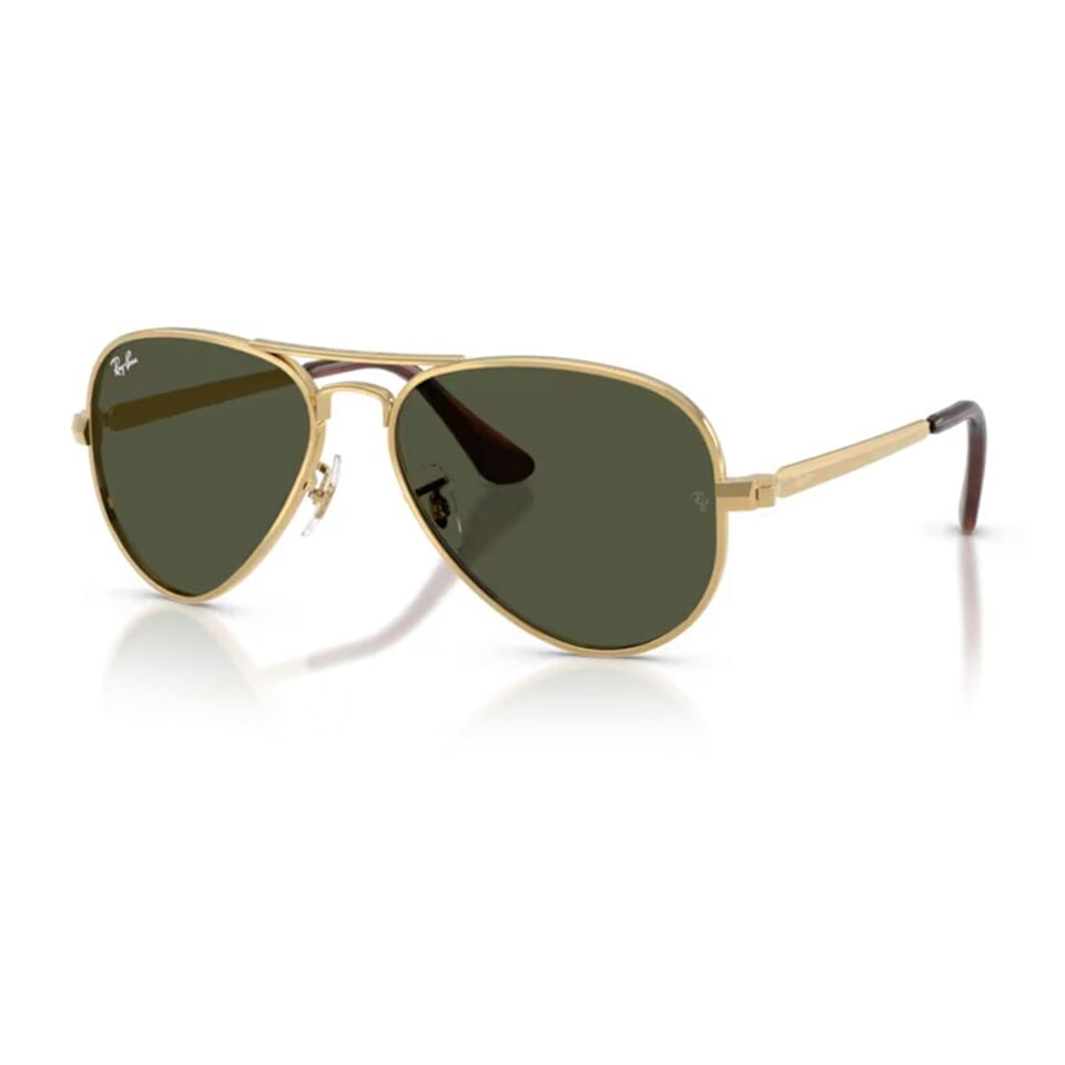 Ray-Ban RB 3925