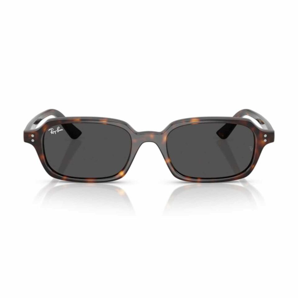 Ray-Ban Zuri RB 4455