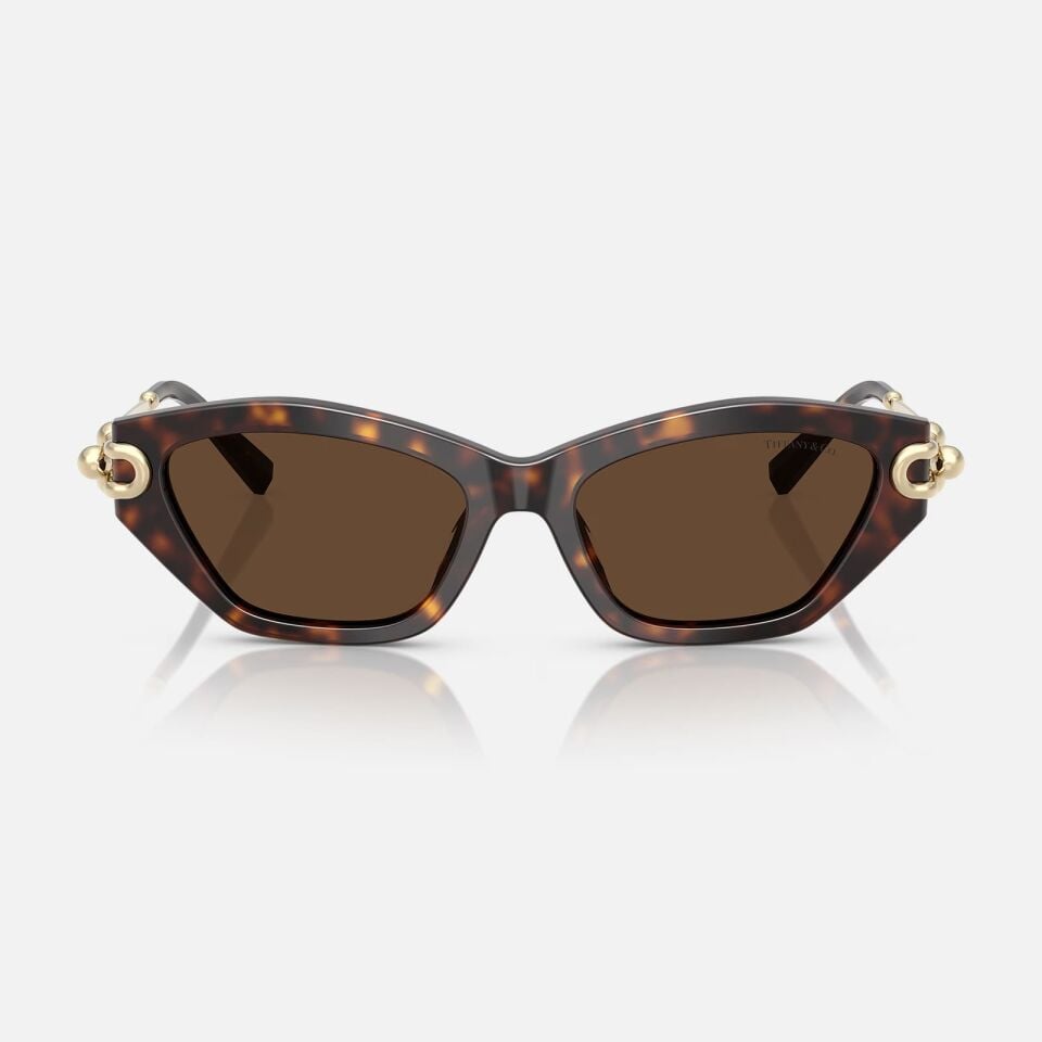 Tiffany TF 4231U 80153G53 Kadın Güneş Gözlüğü
