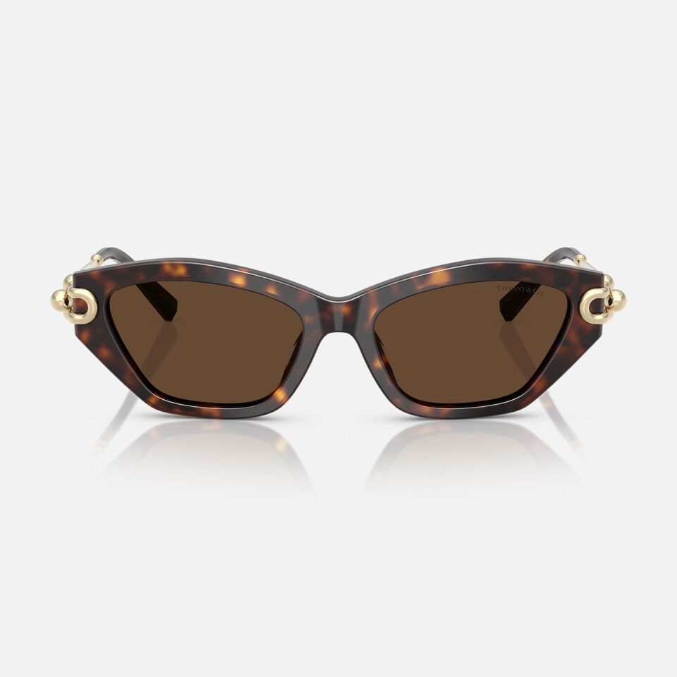 Tiffany TF 4231U 80153G53 Kadın Güneş Gözlüğü