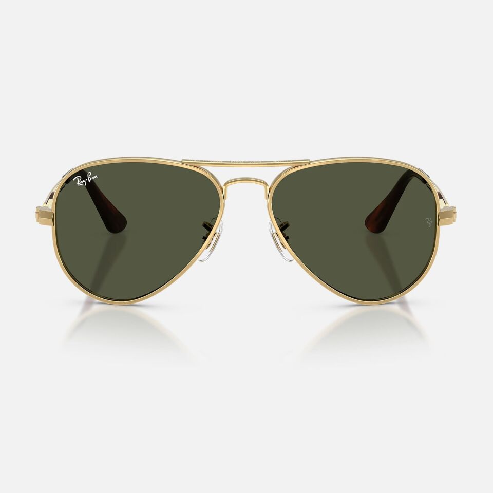 Ray-Ban RB 3925 001-3162 Unisex Güneş Gözlüğü