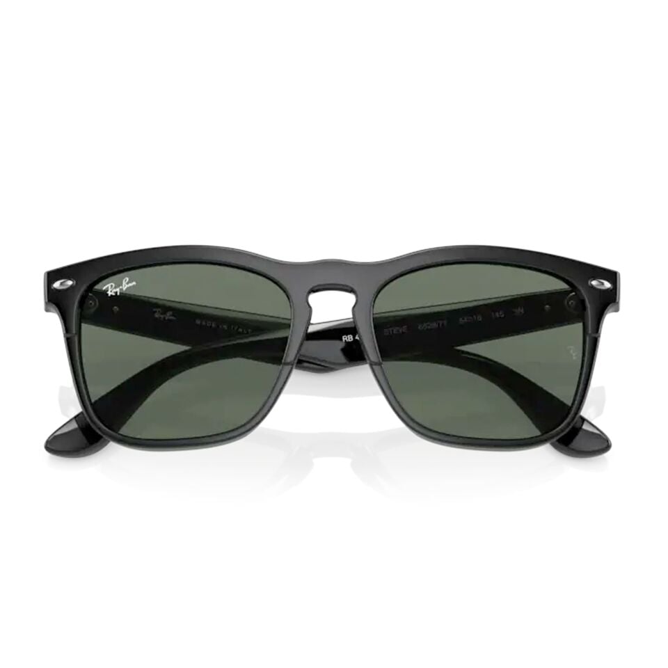 Ray-Ban Steve RB 4487 662971 54 - Siyah Erkek Güneş Gözlüğü